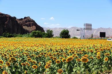 《红色沙漠》新演示视频 画面效果令人惊叹