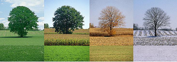 《无畏契约》斩获艾美奖 拳头游戏开启EGOT征程