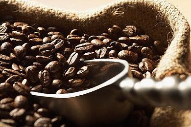 分析师认为任天堂将不会在2022年内推出新机型