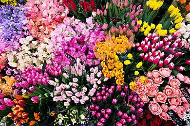 《德州电锯杀人狂》Steam特别好评 总玩家超100万